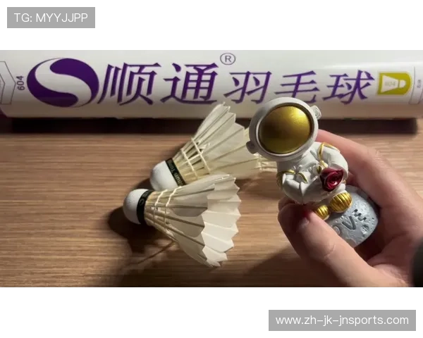 羽毛球六号球 羽毛球六号球