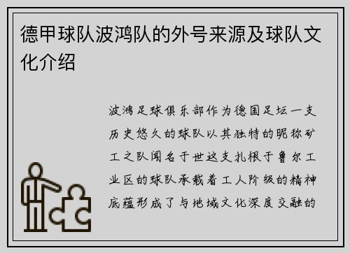 德甲球队波鸿队的外号来源及球队文化介绍